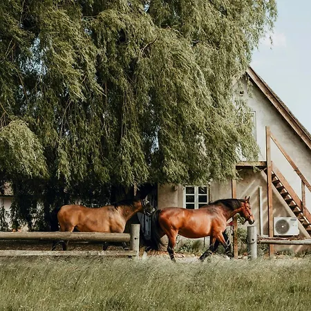 Charming And Historic Horse Farm From The 1700s بيت للعطل