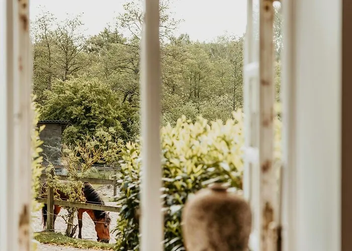 Feriehus Charming And Historic Horse Farm From The 1700s *