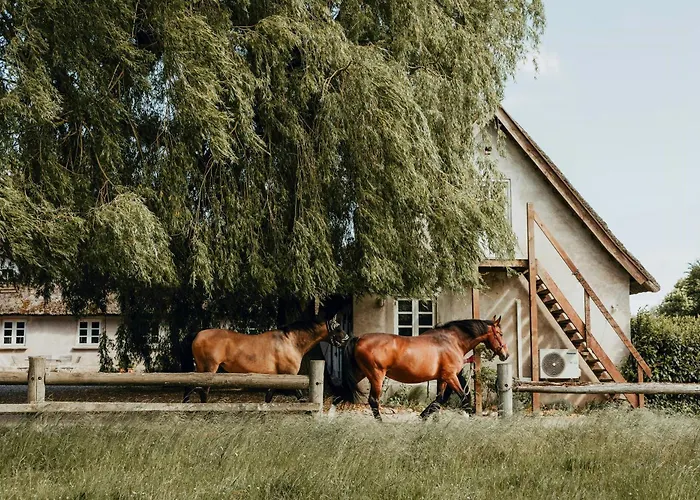 Charming And Historic Horse Farm From The 1700s Dom wakacyjny